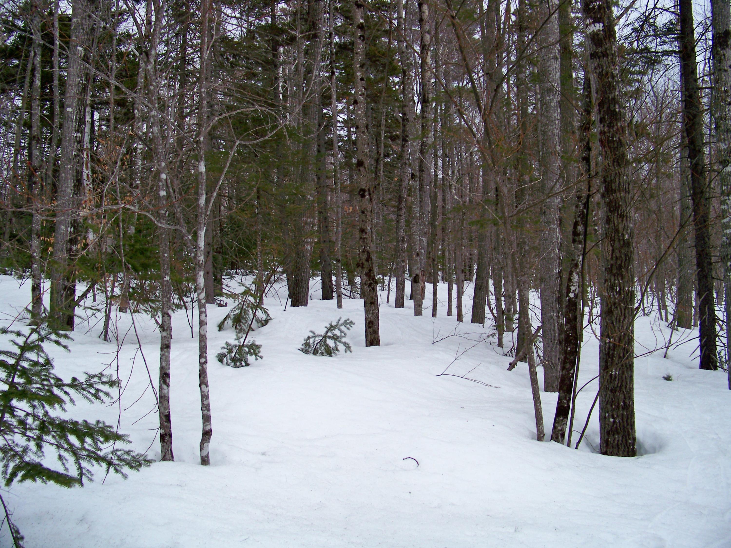 2007 Fox Hollow Road Kingfield, ME 04947 - Photo 2 of 6 2007 Fox Hollow Road