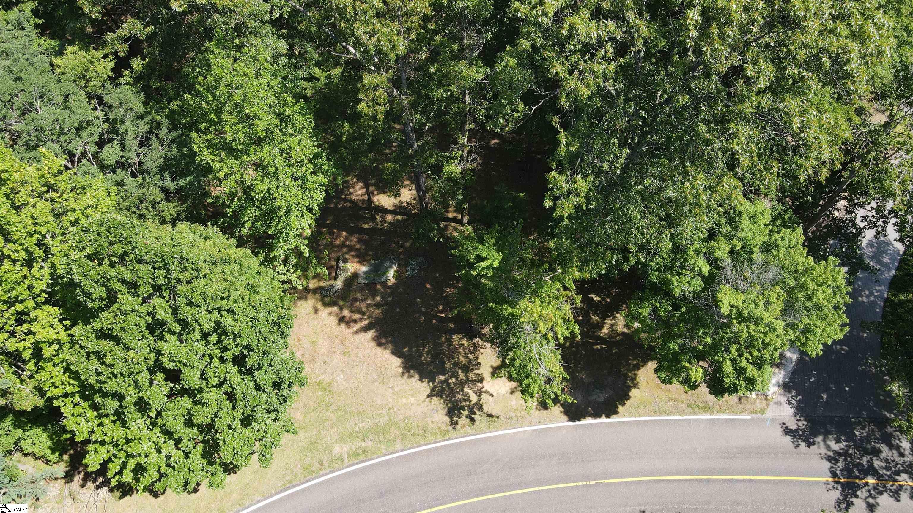 0 Southview Ledge Road, Unit LOT 62 Landrum, SC 29356 - Photo 23 of 34