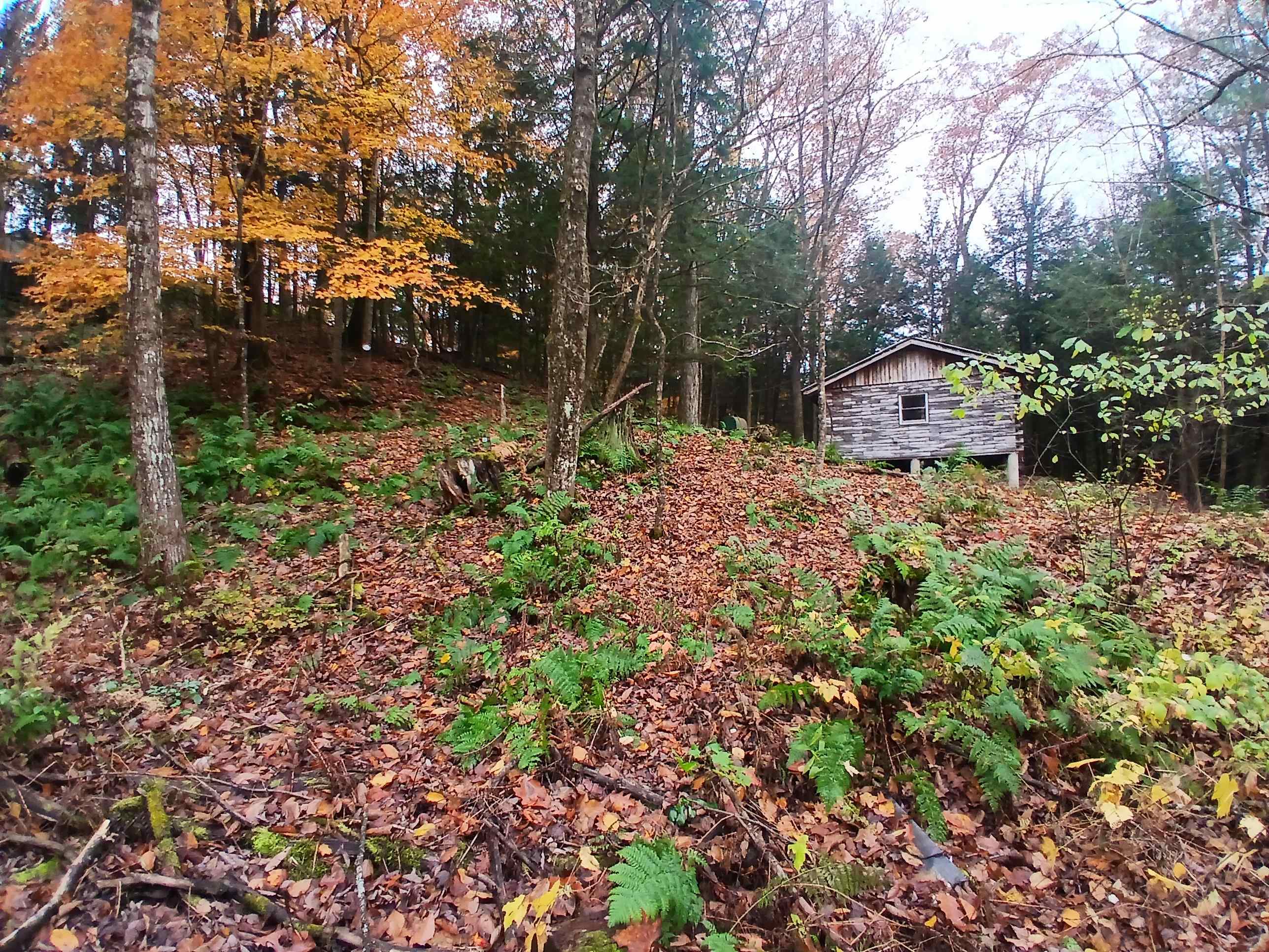 5 East Wilder Road Lebanon, NH 03784 - Photo 25 of 29 Gallery Image 25