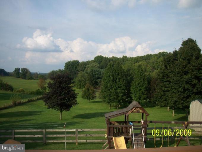 WHAT A VIEW!