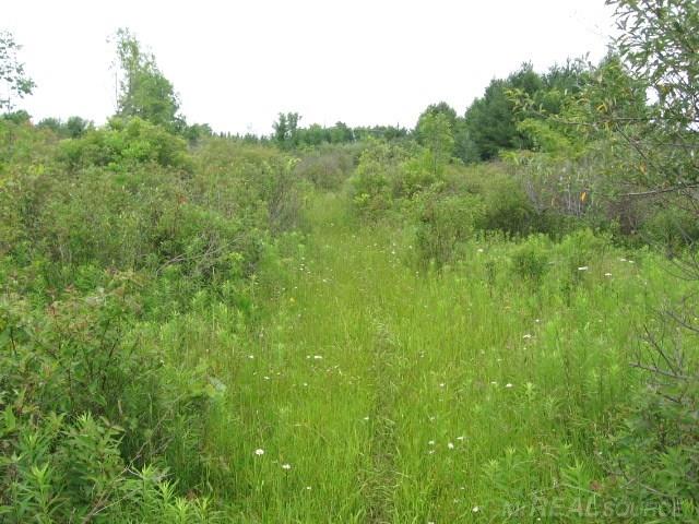 Tbd Sheridan Line Lexington, MI 48450 - Photo 9 of 14
