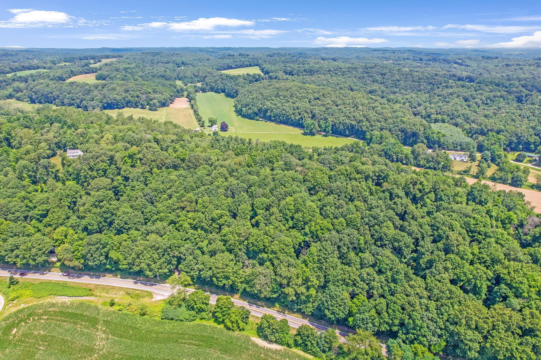 1259 State Rte 97 East Bellville, OH 44813 - Photo 92 of 103 Overhead drone