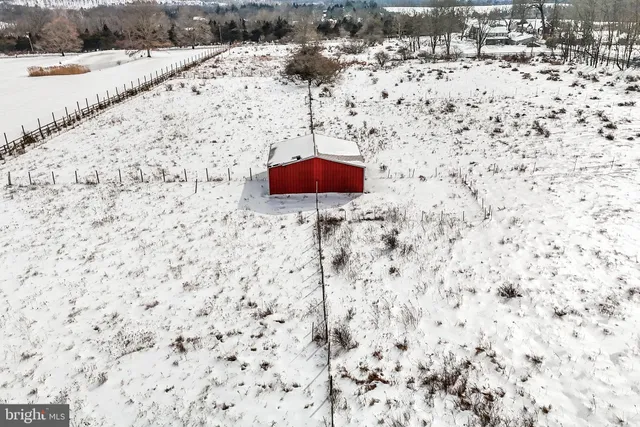 a backyard of a house with large trees