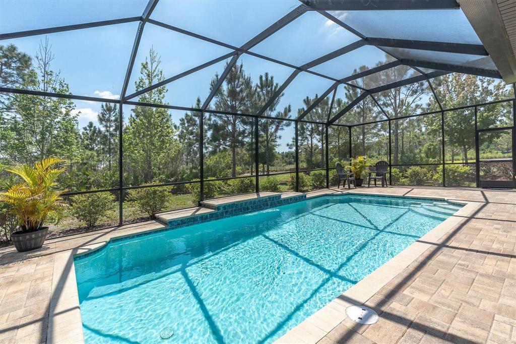 3820 Woods Rider Loop Odessa, FL 33556 - Photo 39 of 79