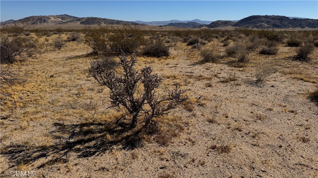 0 Bodick Road Johnson Valley, CA 92285 - Photo 8 of 12