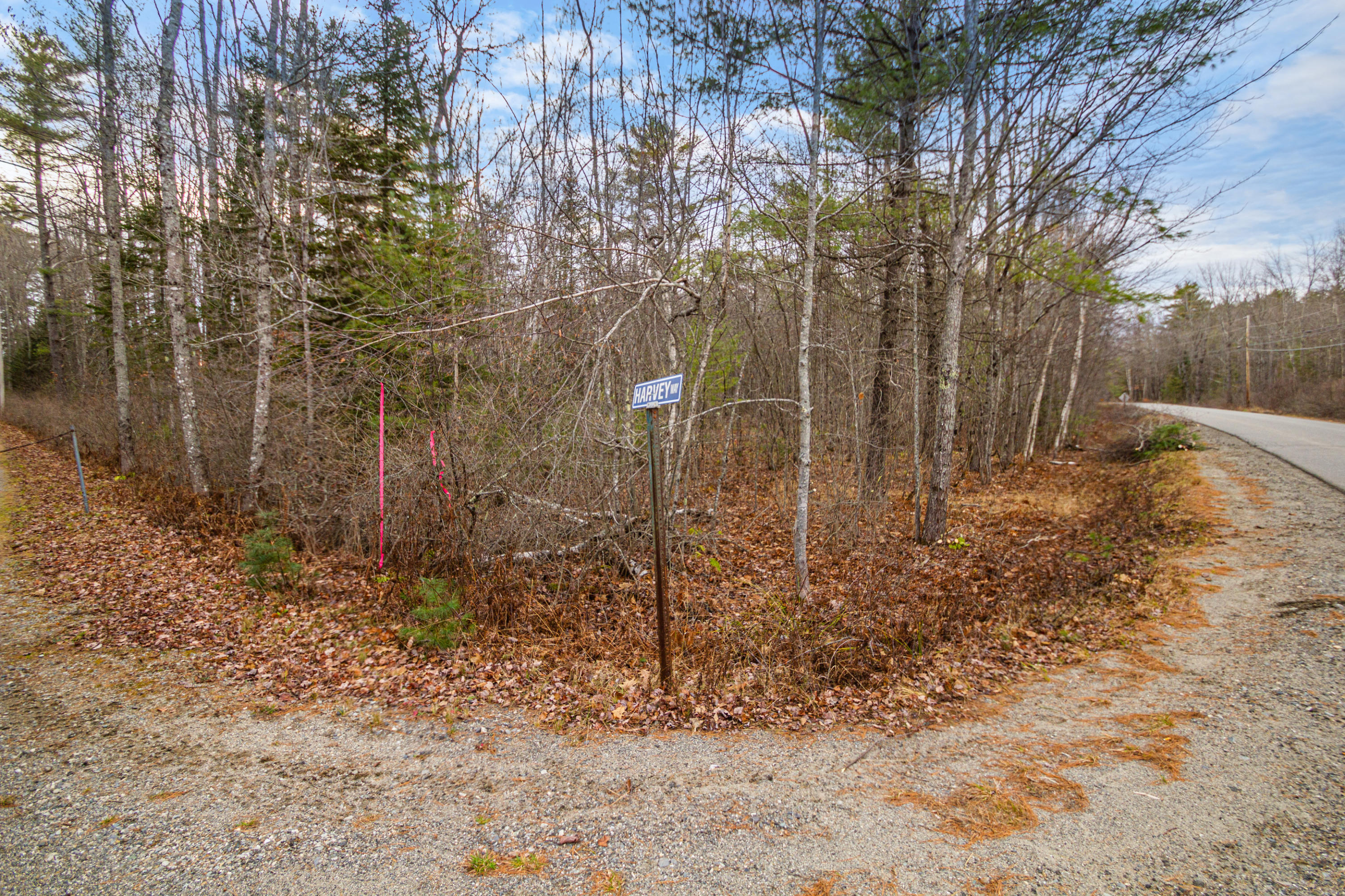 Lot 18 Horse Point Road Belgrade, ME 04917 - Photo 16 of 19 IMG_7513 - Copy