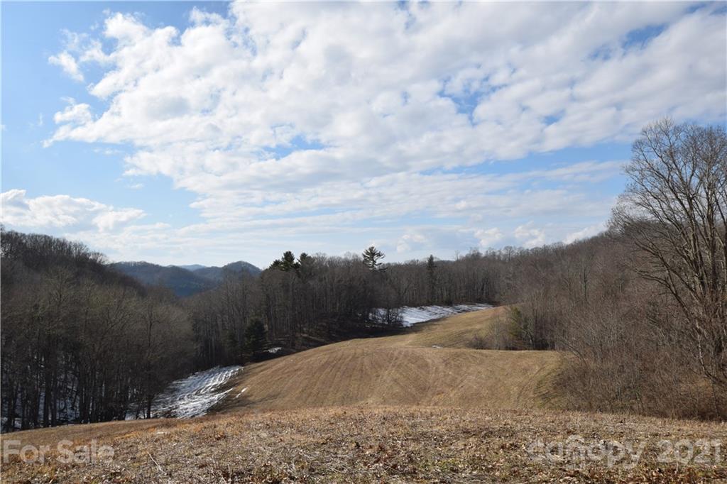 3058 Laurel Valley Road Mars Hill, NC 28754 - Photo 1 of 36 Gallery Image 1