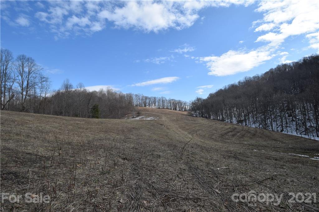 3058 Laurel Valley Road Mars Hill, NC 28754 - Photo 2 of 36 Gallery Image 2
