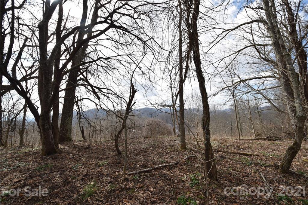 3058 Laurel Valley Road Mars Hill, NC 28754 - Photo 12 of 36 Gallery Image 12