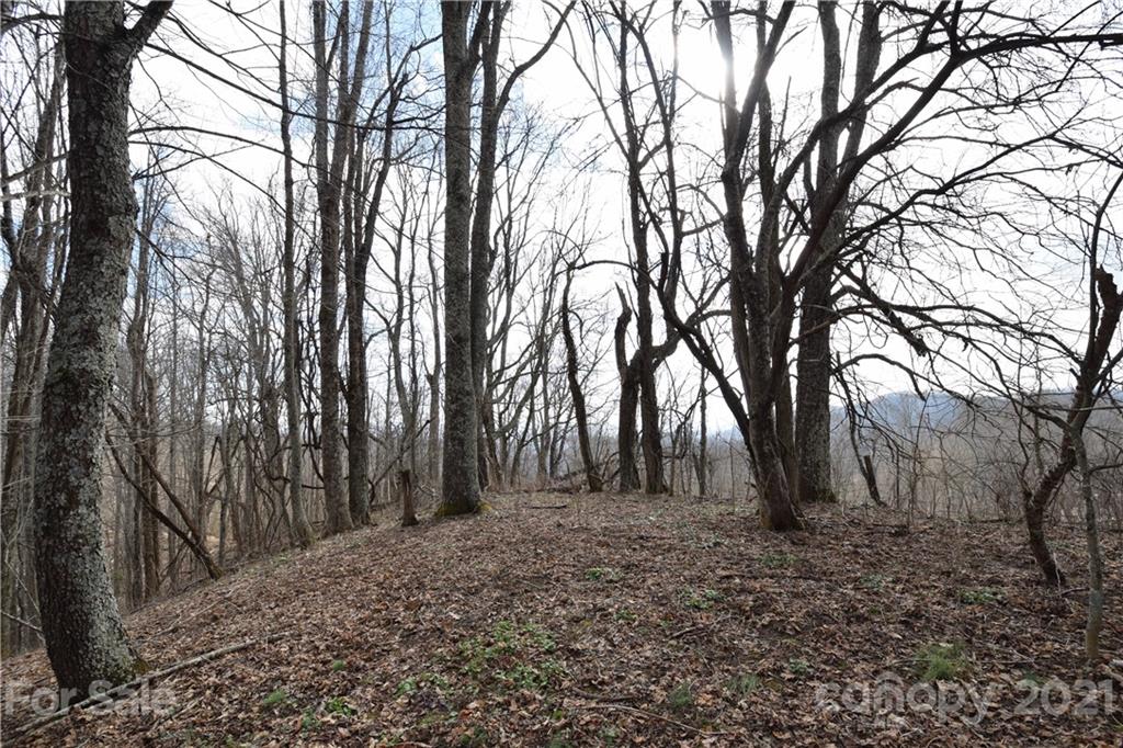 3058 Laurel Valley Road Mars Hill, NC 28754 - Photo 13 of 36 Gallery Image 13