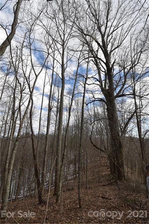 3058 Laurel Valley Road Mars Hill, NC 28754 - Photo 14 of 36 Gallery Image 14