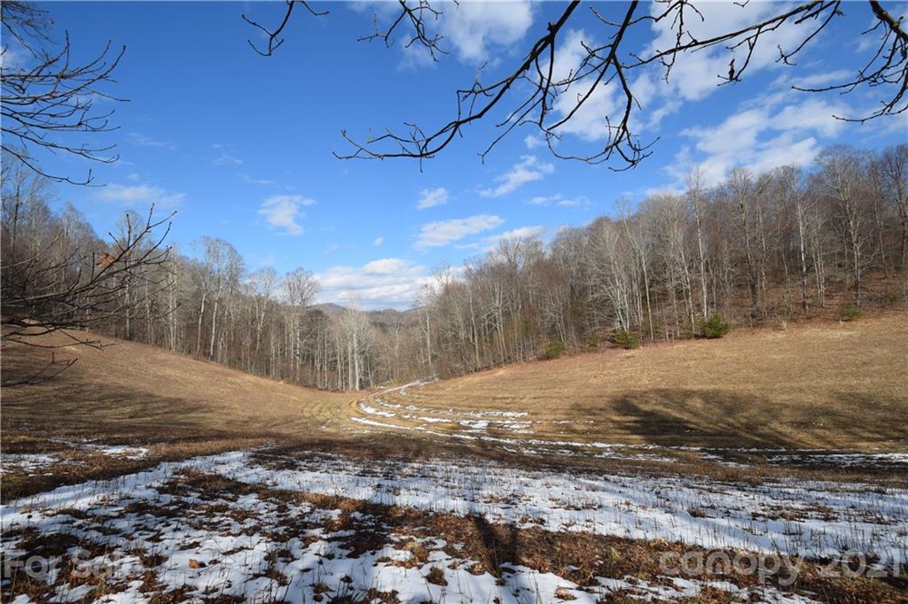 3058 Laurel Valley Road Mars Hill, NC 28754 - Photo 15 of 36 Gallery Image 15