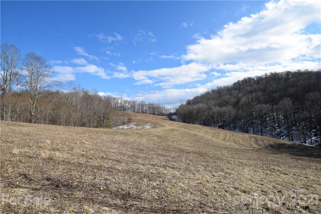 3058 Laurel Valley Road Mars Hill, NC 28754 - Photo 16 of 36 Gallery Image 16