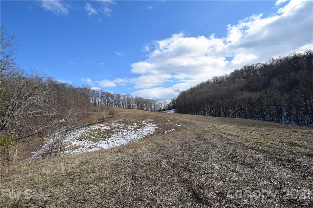 3058 Laurel Valley Road Mars Hill, NC 28754 - Photo 17 of 36 Gallery Image 17