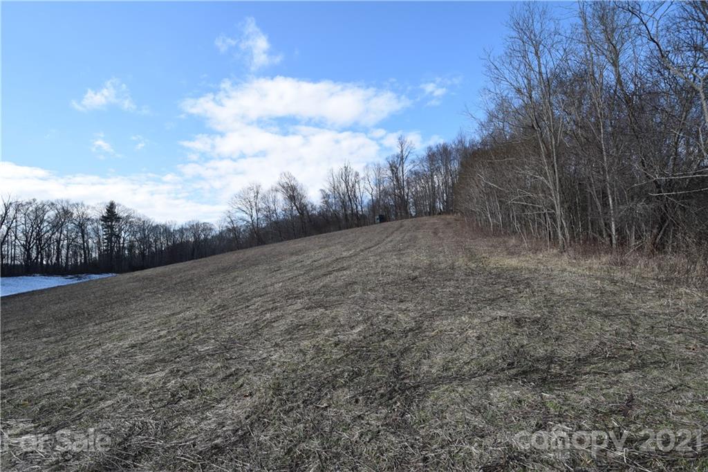 3058 Laurel Valley Road Mars Hill, NC 28754 - Photo 18 of 36 Gallery Image 18