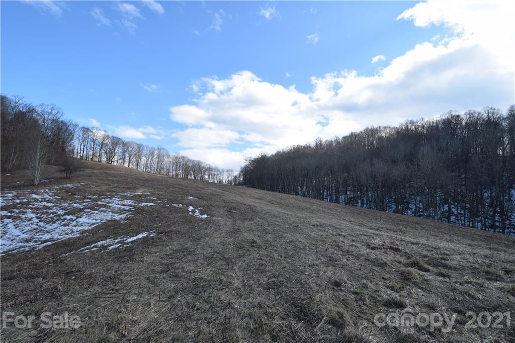 3058 Laurel Valley Road Mars Hill, NC 28754 - Photo 19 of 36 Gallery Image 19