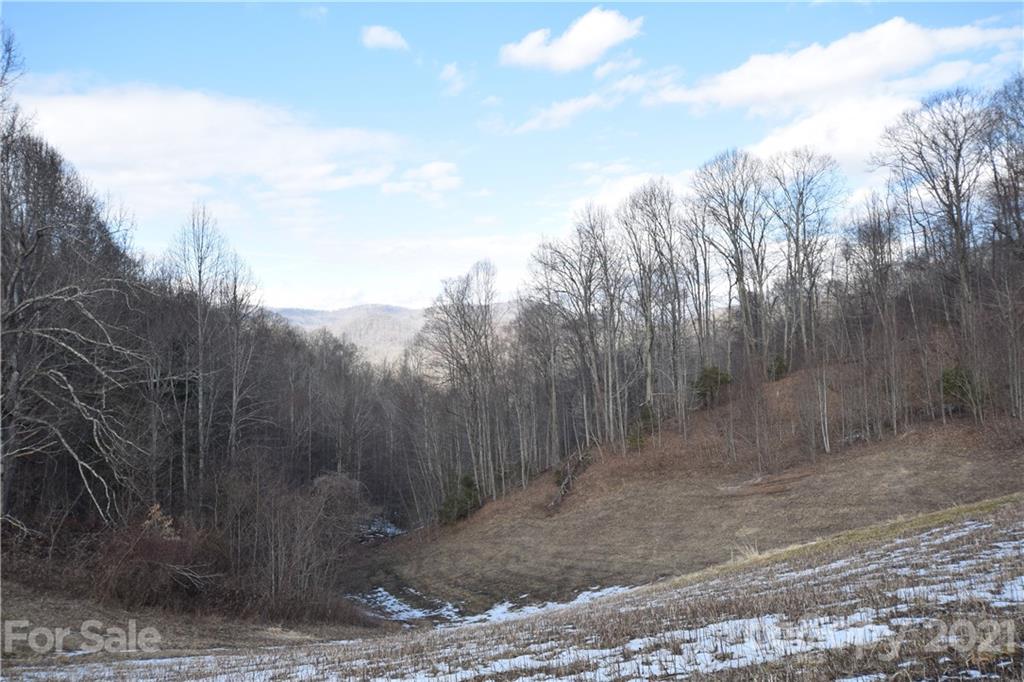 3058 Laurel Valley Road Mars Hill, NC 28754 - Photo 20 of 36 Gallery Image 20