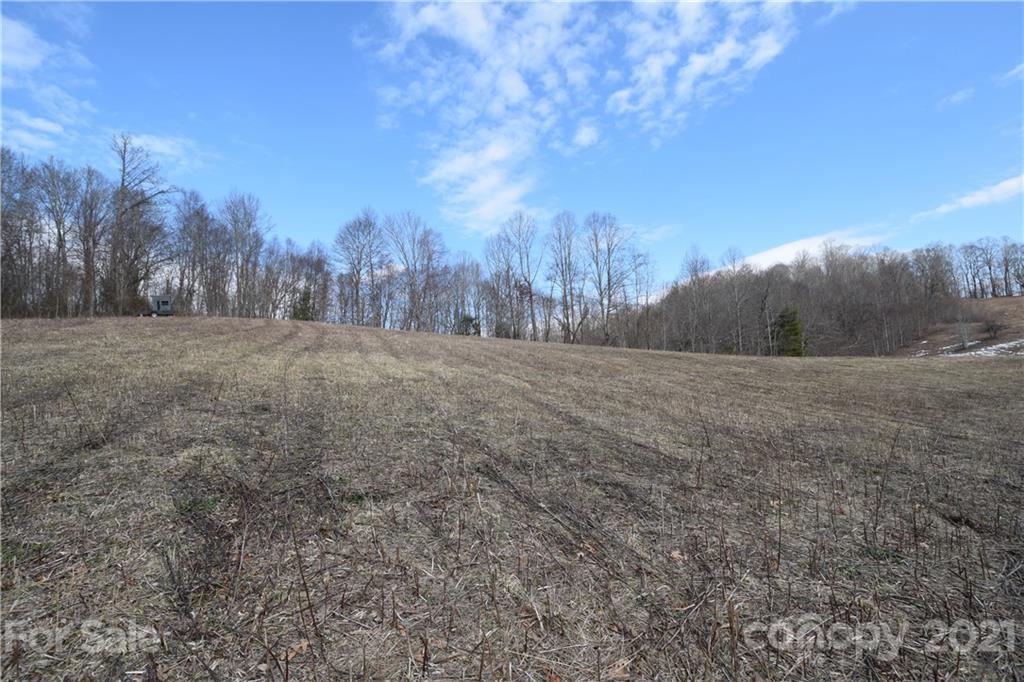 3058 Laurel Valley Road Mars Hill, NC 28754 - Photo 3 of 36 Gallery Image 3