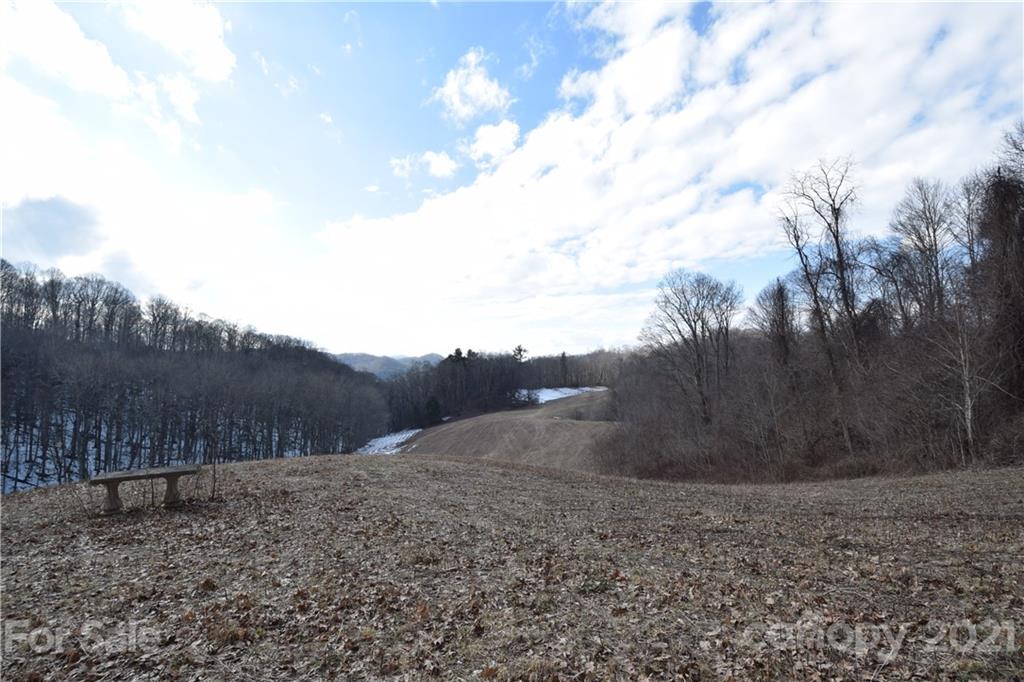 3058 Laurel Valley Road Mars Hill, NC 28754 - Photo 22 of 36 Gallery Image 22