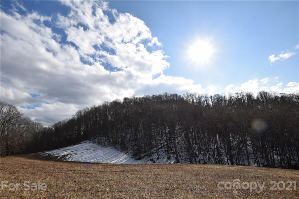 3058 Laurel Valley Road Mars Hill, NC 28754 - Photo 23 of 36 Gallery Image 23