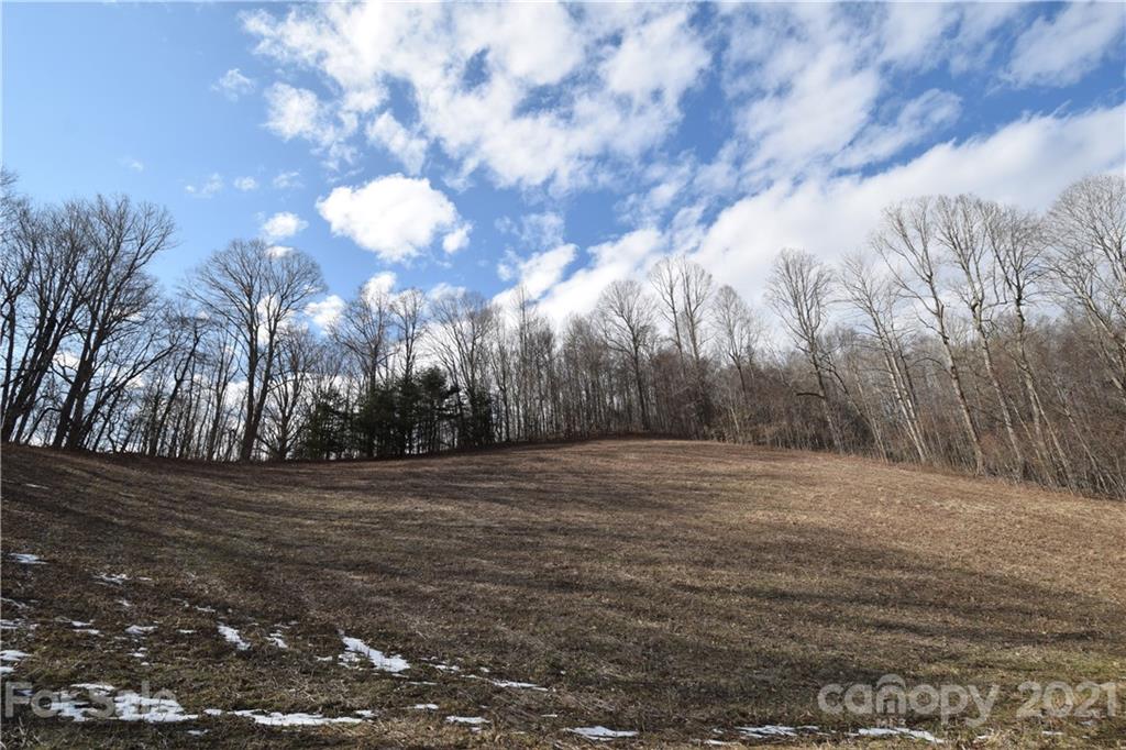 3058 Laurel Valley Road Mars Hill, NC 28754 - Photo 24 of 36 Gallery Image 24
