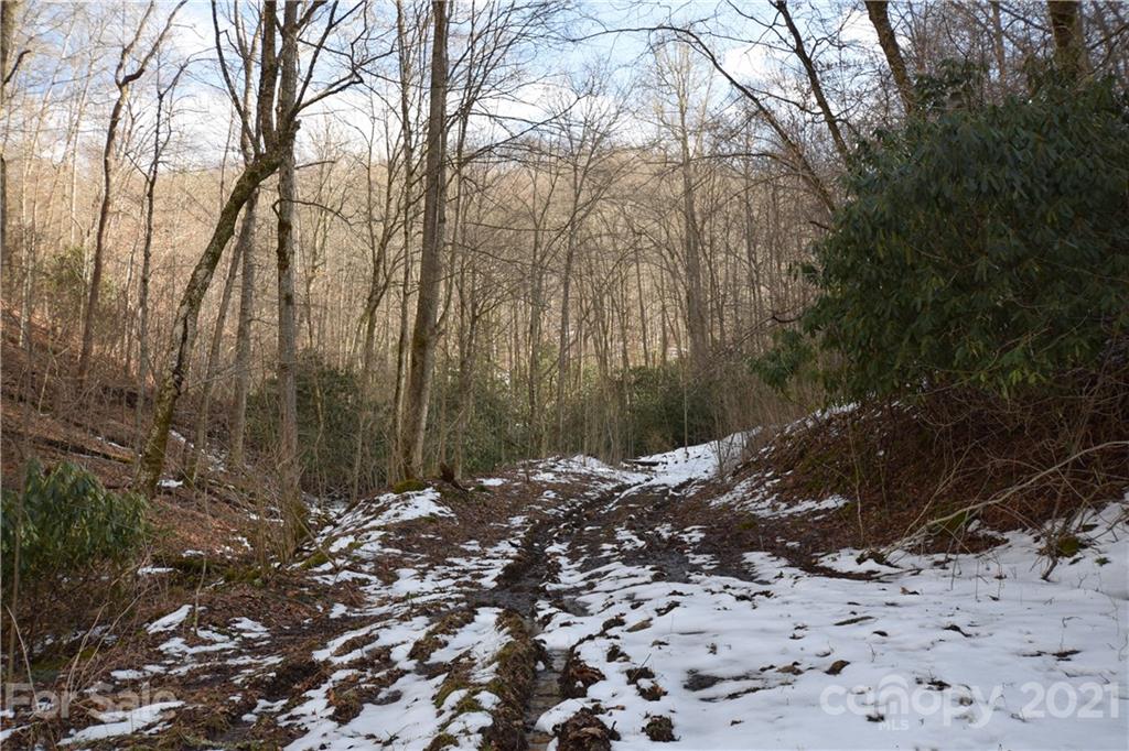 3058 Laurel Valley Road Mars Hill, NC 28754 - Photo 27 of 36 Gallery Image 27