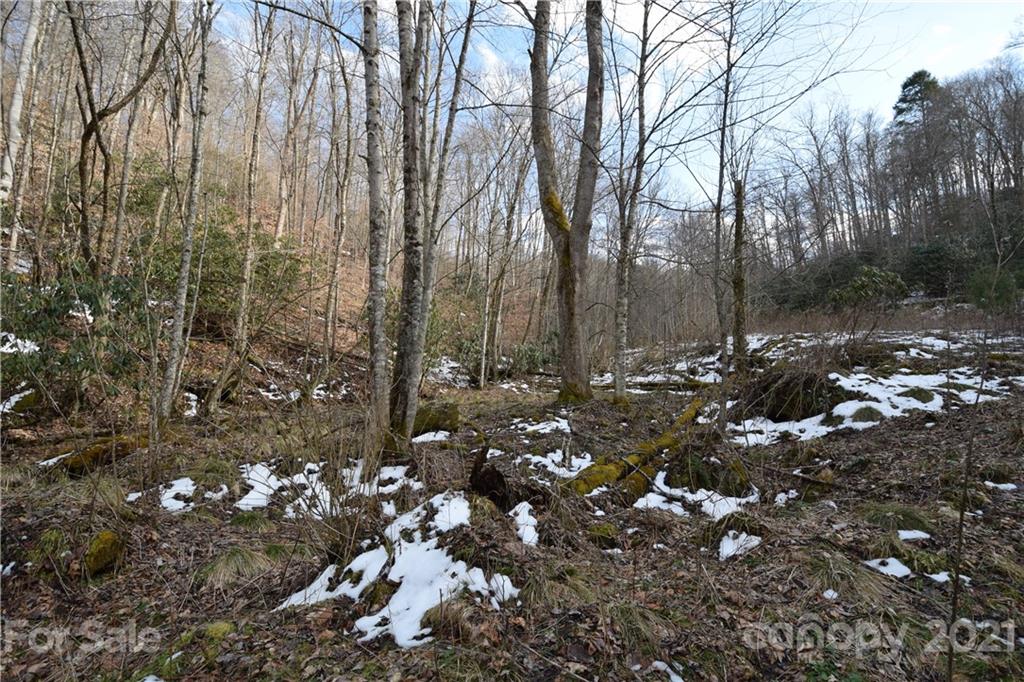 3058 Laurel Valley Road Mars Hill, NC 28754 - Photo 28 of 36 Gallery Image 28