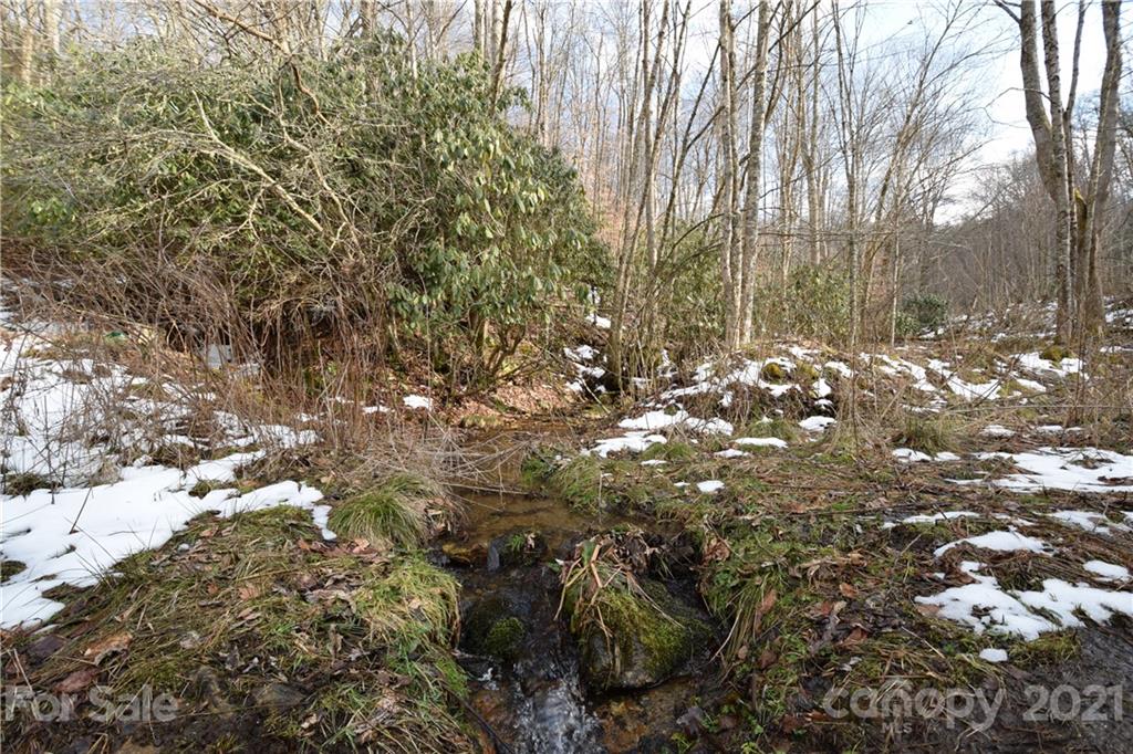 3058 Laurel Valley Road Mars Hill, NC 28754 - Photo 29 of 36 Gallery Image 29