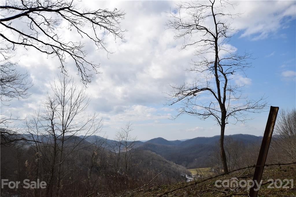 3058 Laurel Valley Road Mars Hill, NC 28754 - Photo 4 of 36 Gallery Image 4