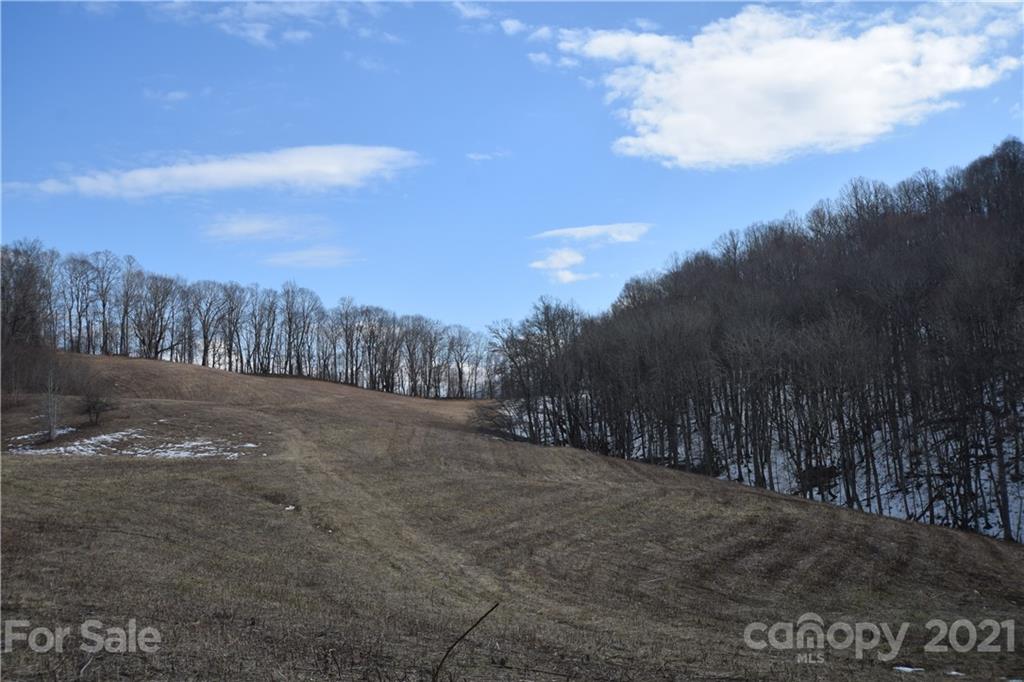 3058 Laurel Valley Road Mars Hill, NC 28754 - Photo 6 of 36 Gallery Image 6