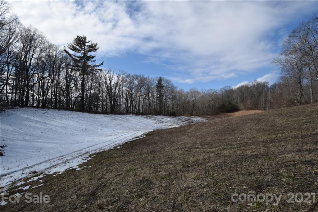 3058 Laurel Valley Road Mars Hill, NC 28754 - Photo 7 of 36 Gallery Image 7