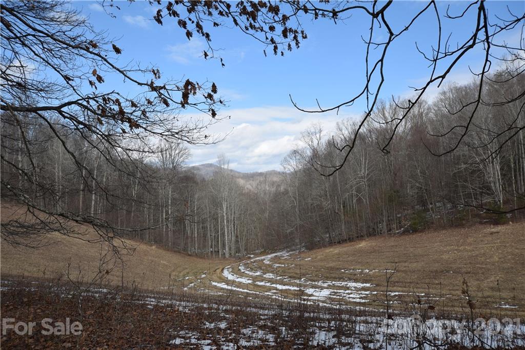 3058 Laurel Valley Road Mars Hill, NC 28754 - Photo 8 of 36 Gallery Image 8