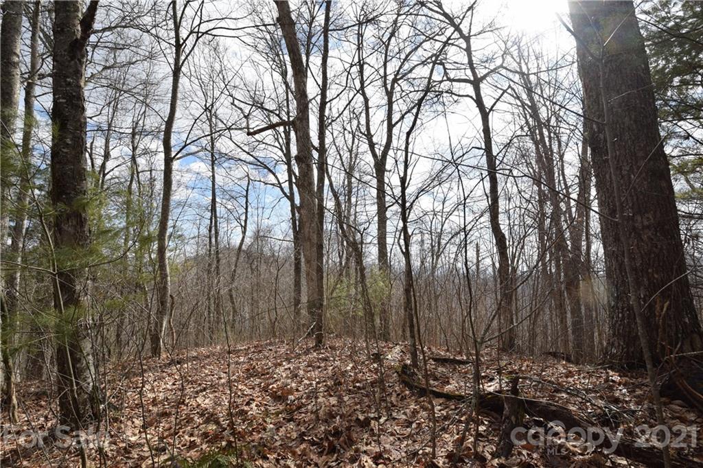 3058 Laurel Valley Road Mars Hill, NC 28754 - Photo 10 of 36 Gallery Image 10