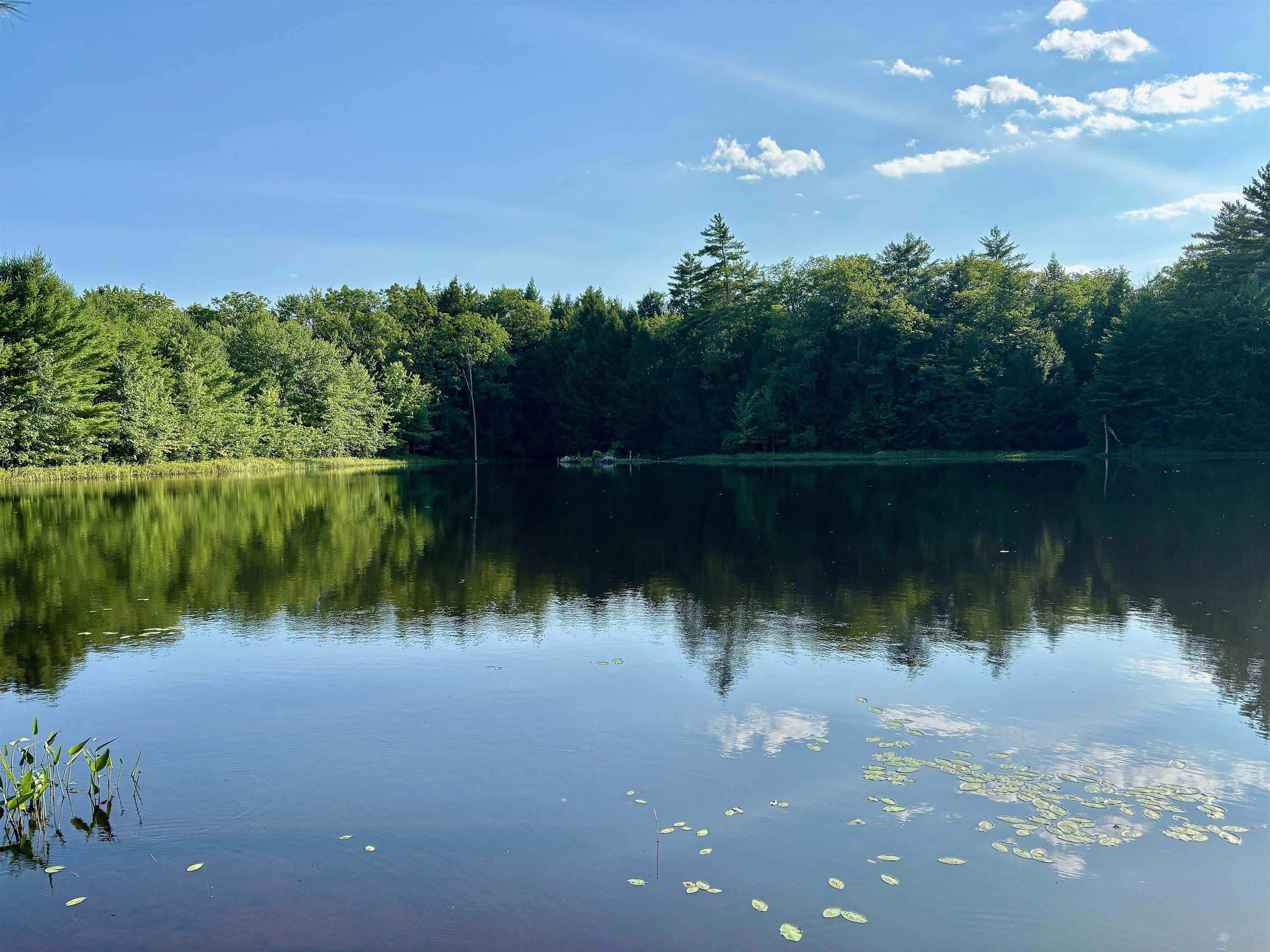 0 Burnt Hill Road Warner, NH 03278 - Photo 1 of 2