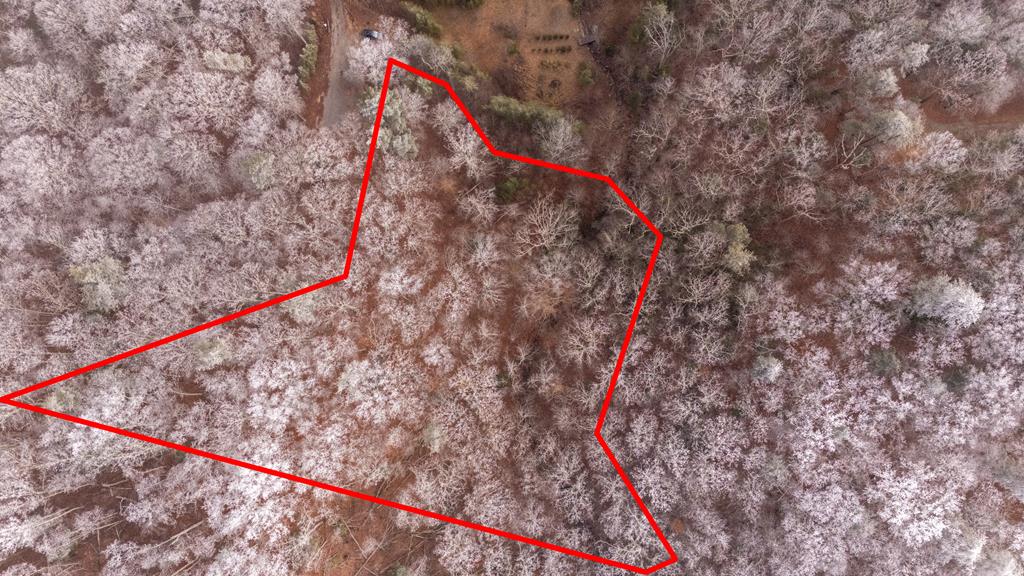 Lot 127 Timber Ridge Murphy, NC 28906 - Photo 11 of 13