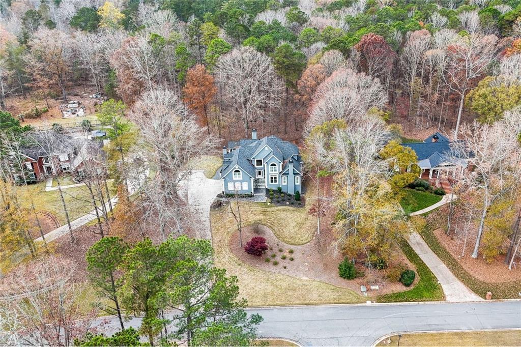 295 Springwater Chase Newnan, GA 30265 - Photo 60 of 68