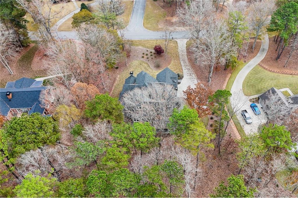 295 Springwater Chase Newnan, GA 30265 - Photo 62 of 68