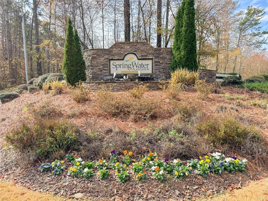 295 Springwater Chase Newnan, GA 30265 - Photo 63 of 68