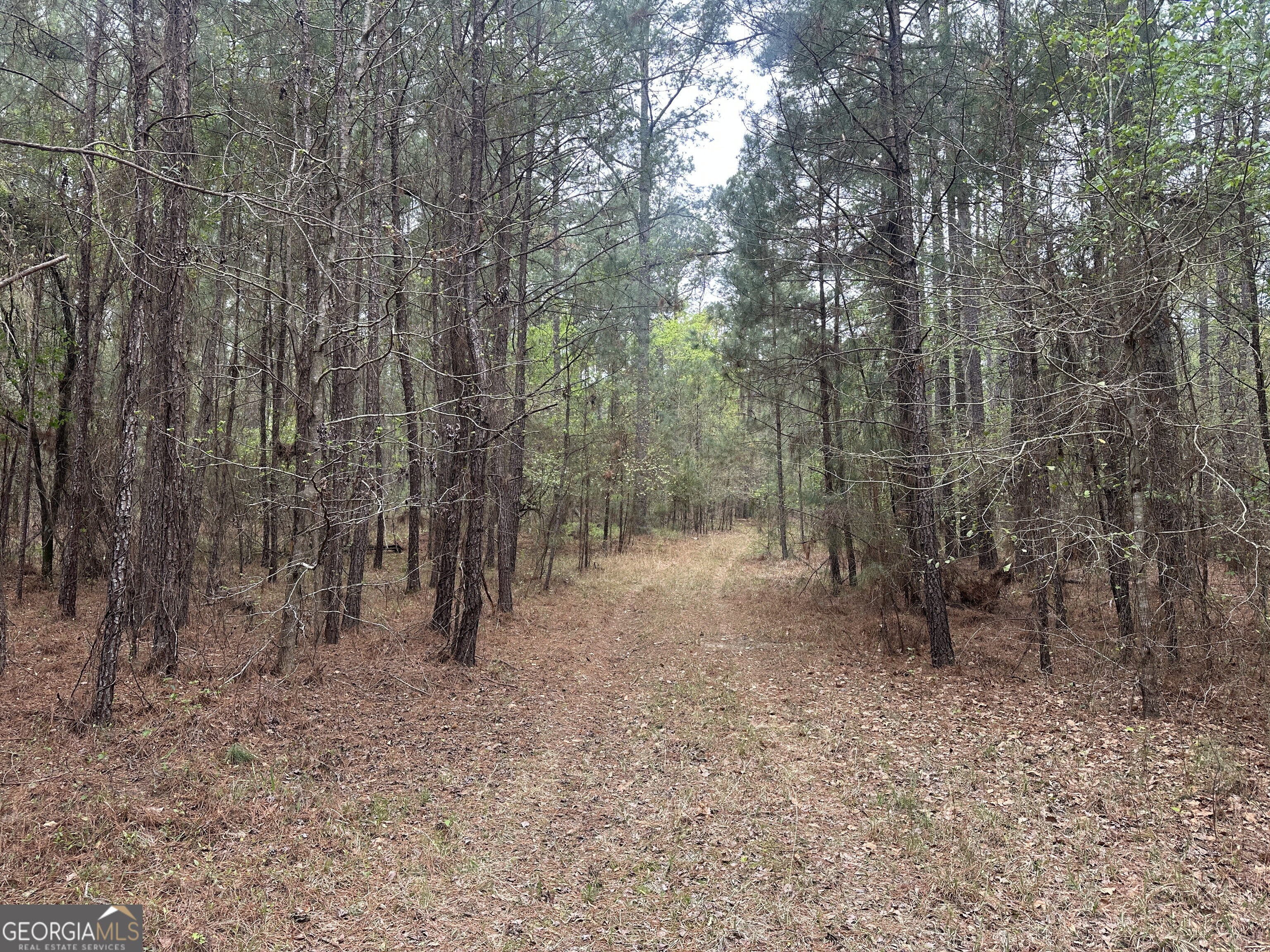 0 Fred Chance Road Millen, GA 30442 - Photo 7 of 19