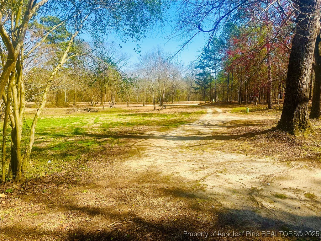 33 Alberta Lane Cameron, NC 28326 - Photo 12 of 14 a view of yard with swimming pool