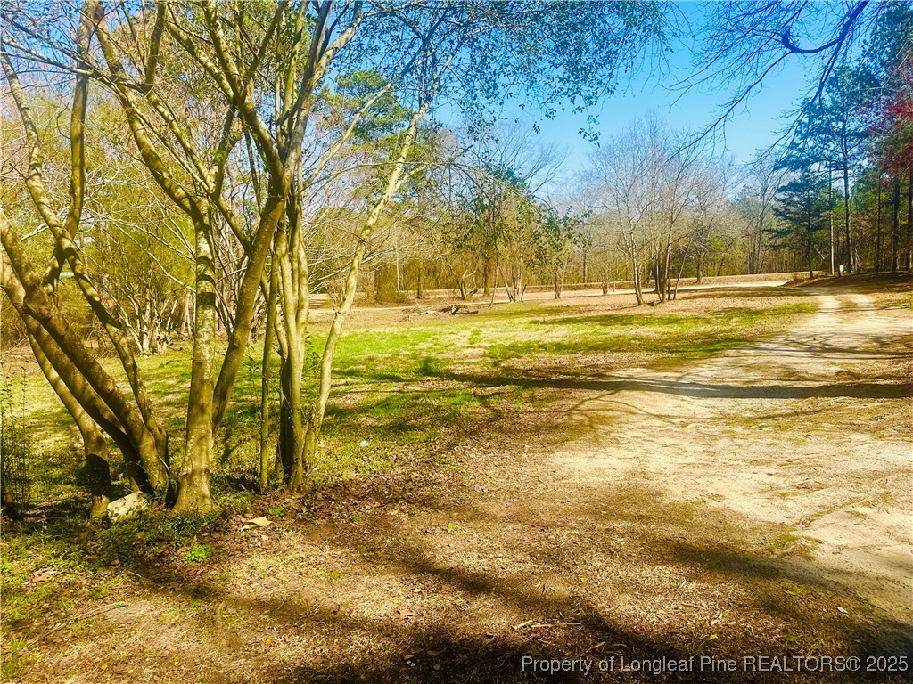 33 Alberta Lane Cameron, NC 28326 - Photo 13 of 14 a view of yard with swimming pool and green space