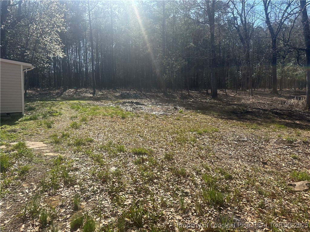 33 Alberta Lane Cameron, NC 28326 - Photo 3 of 14 a view of outdoor space and yard