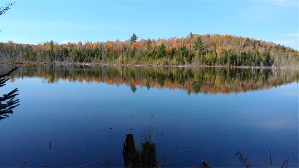 1690 County Road New Limerick, ME 04761 - Photo 5 of 21 Photo