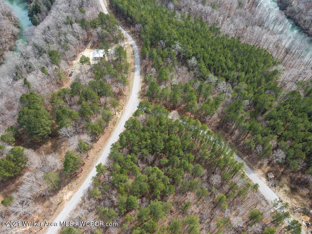 Lot#39 Turkey Bend Addison, AL 35540 - Photo 8 of 8 Gallery Image 8