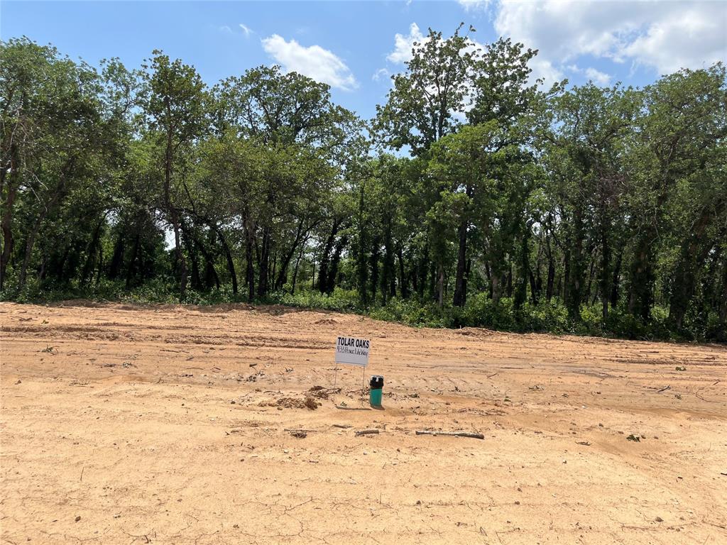 433 Peace Lily Way Tolar, TX 76476 - Photo 1 of 1