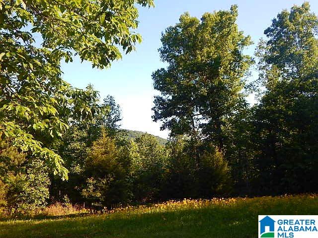 Sunhill Lane, Unit 14 Oneonta, AL 35121 - Photo 22 of 27