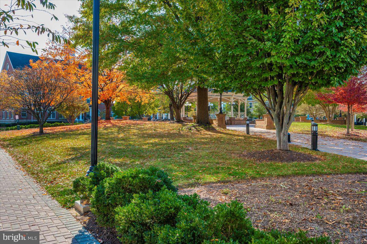 2500 Waterside Drive, Unit 110 Frederick, MD 21701 - Photo 101 of 106 a backyard of a house with lots of green space and fountain