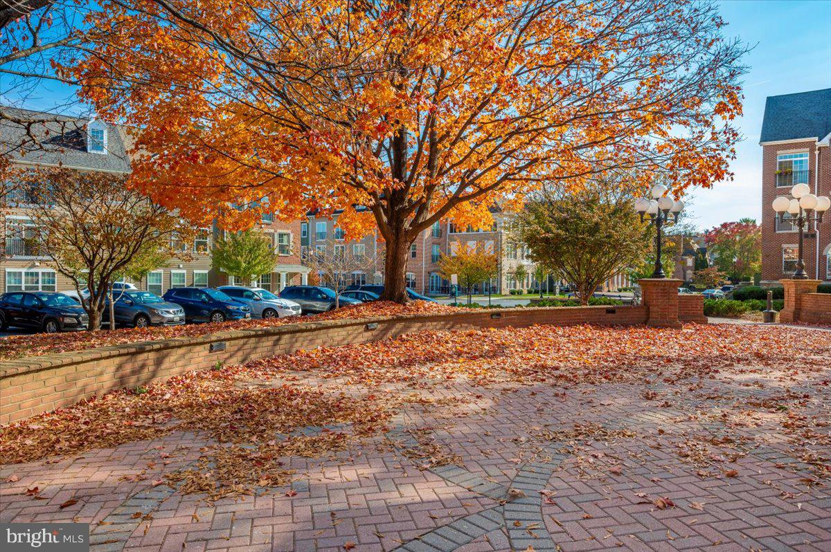 2500 Waterside Drive, Unit 110 Frederick, MD 21701 - Photo 91 of 106