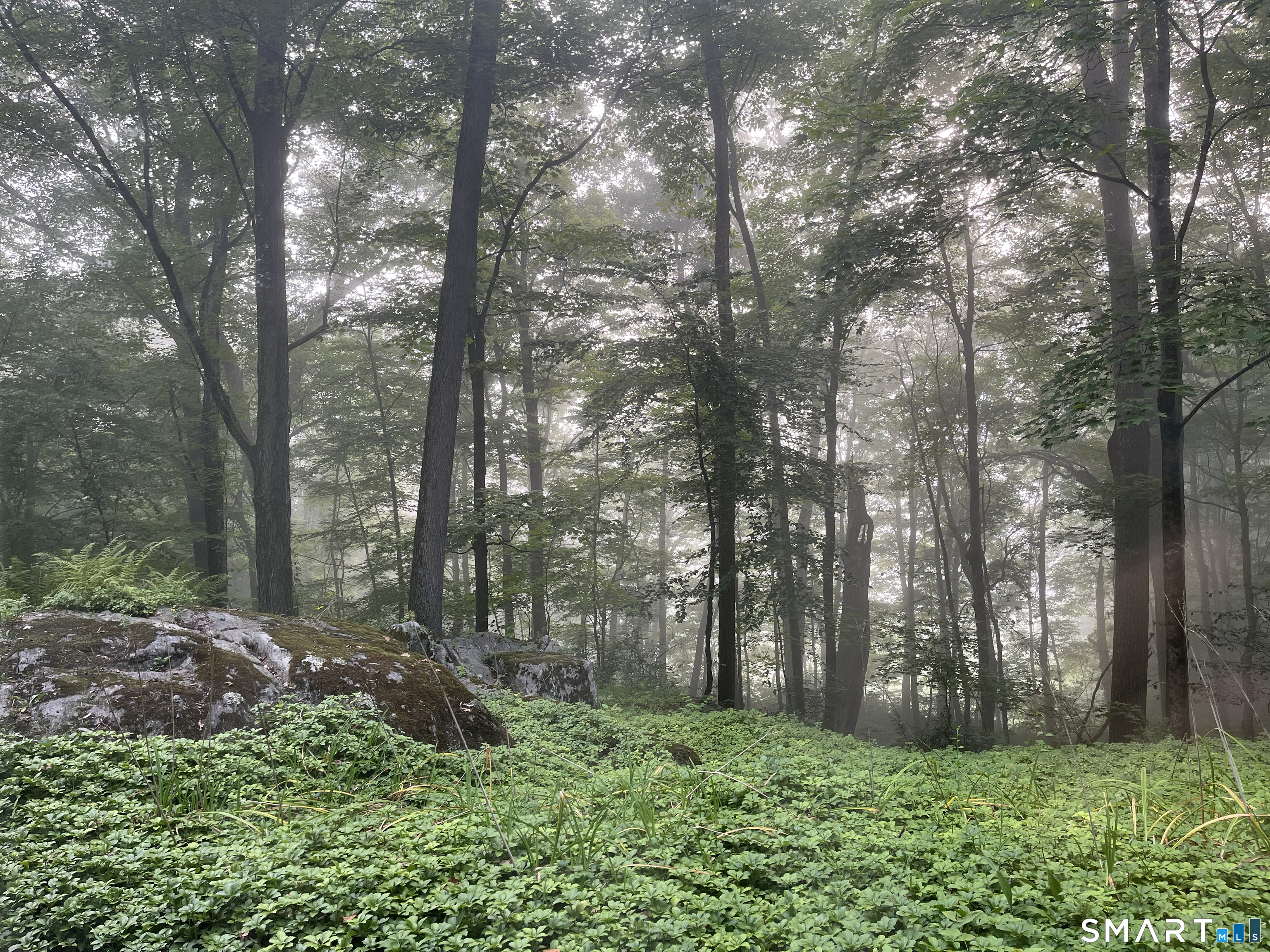 17 New Preston Hill Road Washington, CT 06777 - Photo 4 of 5