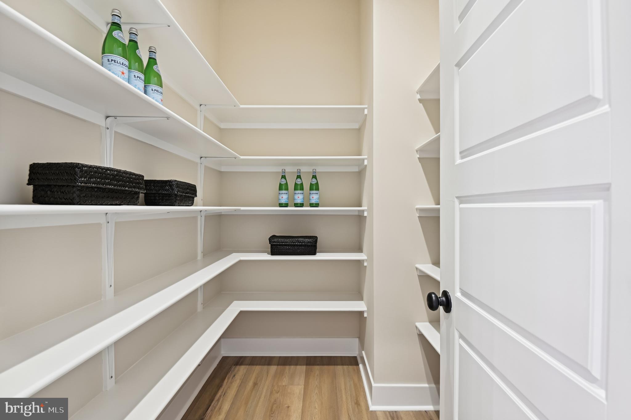 13812 Pecan Ridge Way Bowie, MD 20715 - Photo 18 of 44 a view of walk in closet with empty racks